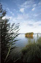 Rollstuhl Ferienwohnung Ostsee behindertengerecht Ostsee barrierefrei