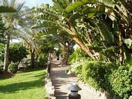 Garten - Rollstuhl Ferienwohnung Appartement Gran Canaria Kanarische Inseln behindertengerecht
